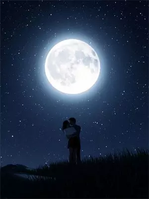 《反杀黑网贷：我薅空非法平台赚百亿》林风王虎火爆新书_反杀黑网贷：我薅空非法平台赚百亿(林风王虎)免费小说