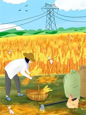 姜禾陆知行（我租了个假男友，他比真男友还会疼人）全文免费阅读无弹窗大结局_
